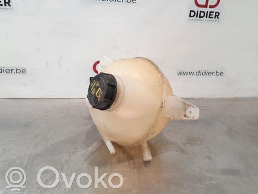 Ford Tourneo Custom Aušinimo skysčio išsiplėtimo bakelis 
