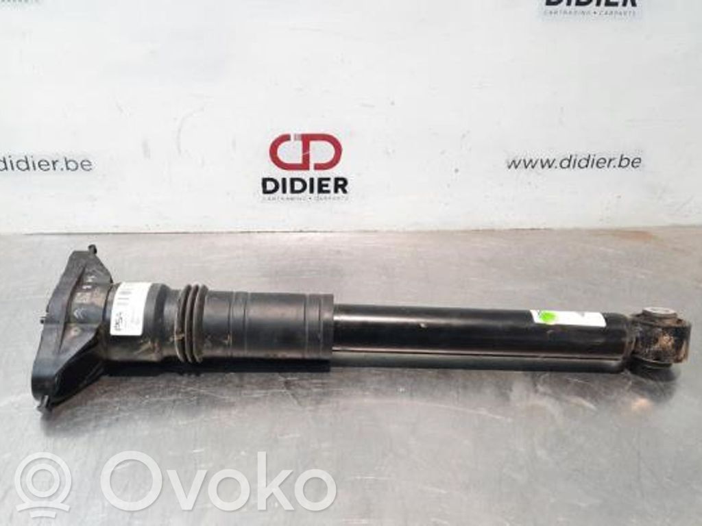 Stoßdämpfer hinten   9836658080