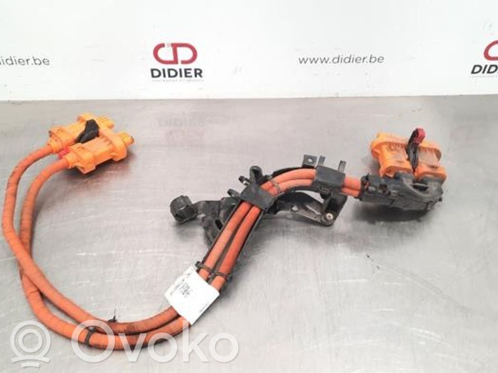 Cable de alta tensión   1EA971015AA