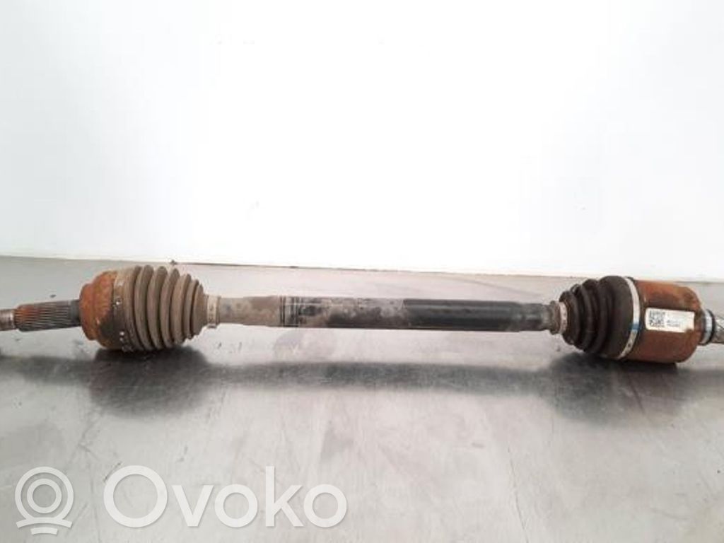 Galinis pusašis   10071901B