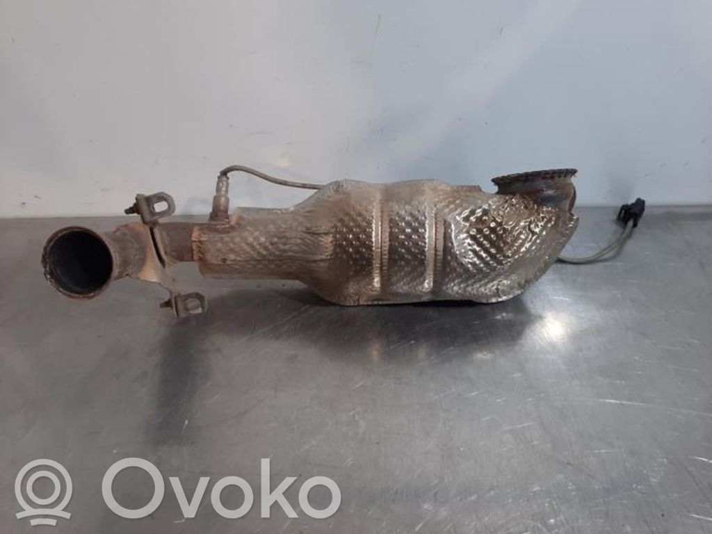 Citroen C3 Filtru de particule catalizator/FAP/DPF 