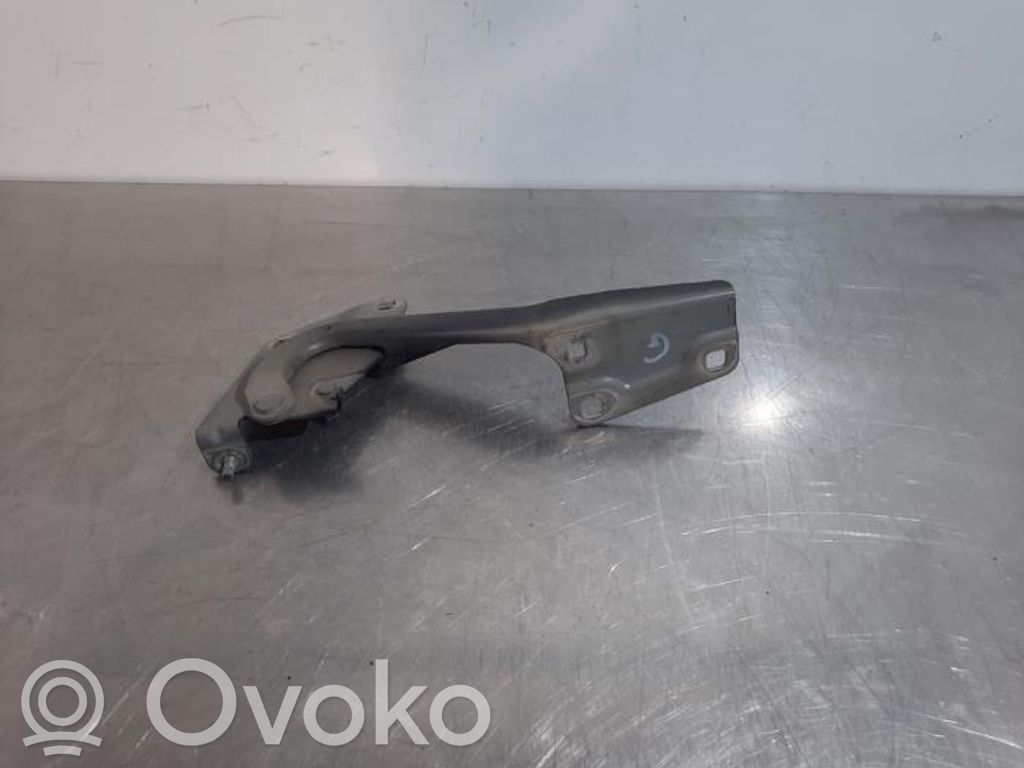 Renault Megane III Cerniere del vano motore/cofano 