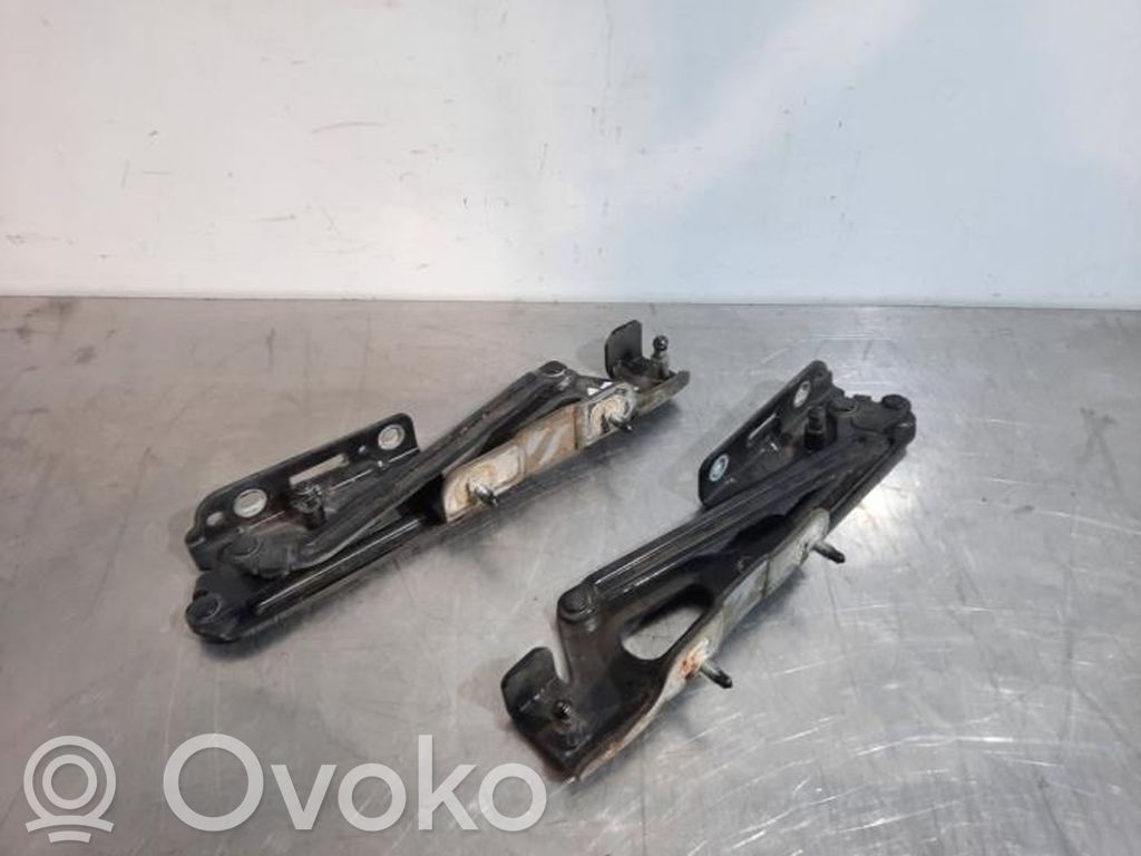 Tailgate/trunk/boot hinge   861393,861394,861394