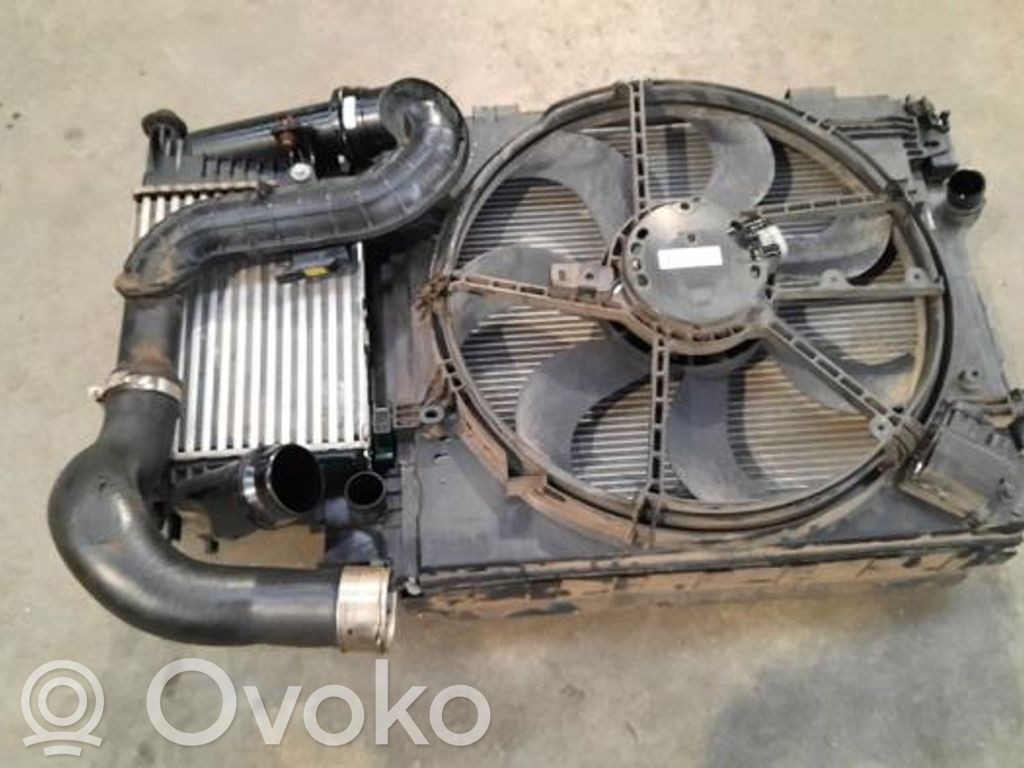 Renault Espace V (RFC) Set del radiatore 