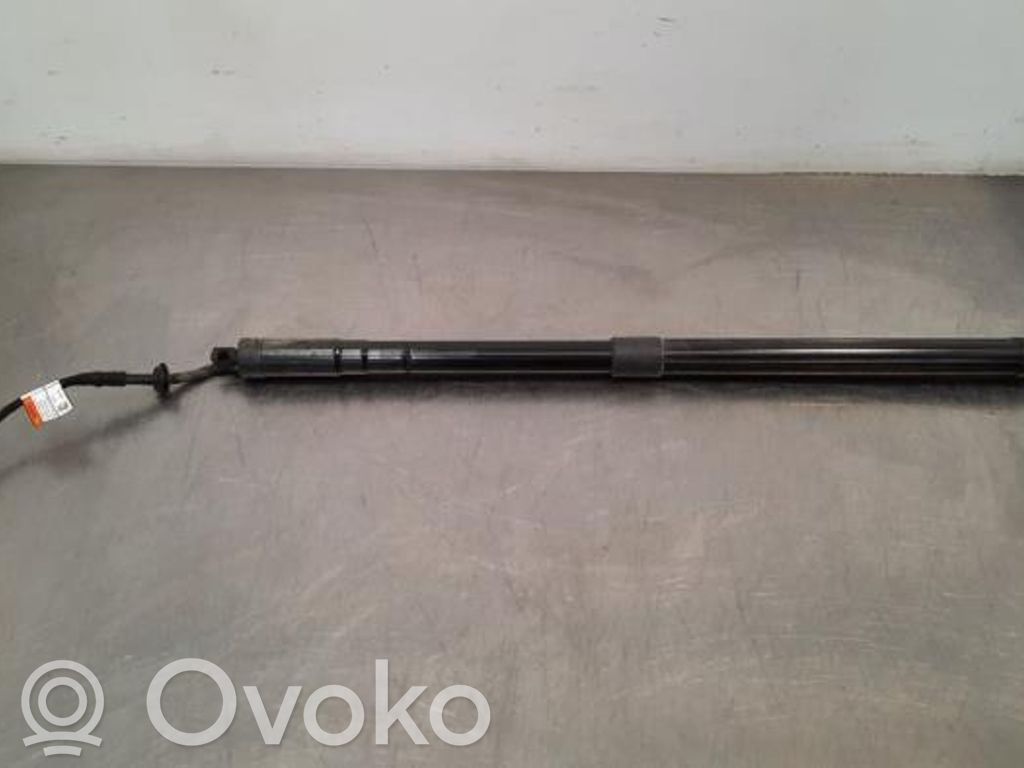 Land Rover Range Rover Sport L494 Amortyzator / Siłownik tylnej klapy bagażnika 