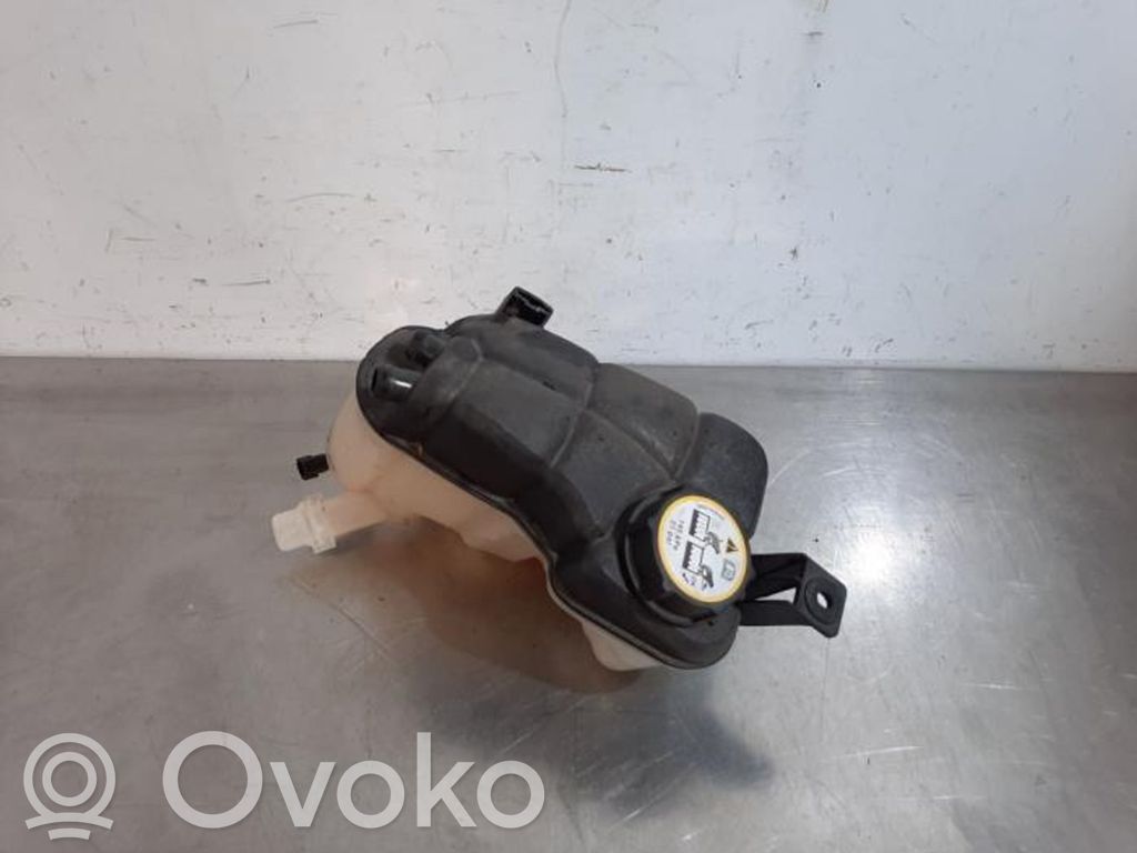 Land Rover Discovery Sport Aušinimo skysčio išsiplėtimo bakelis 