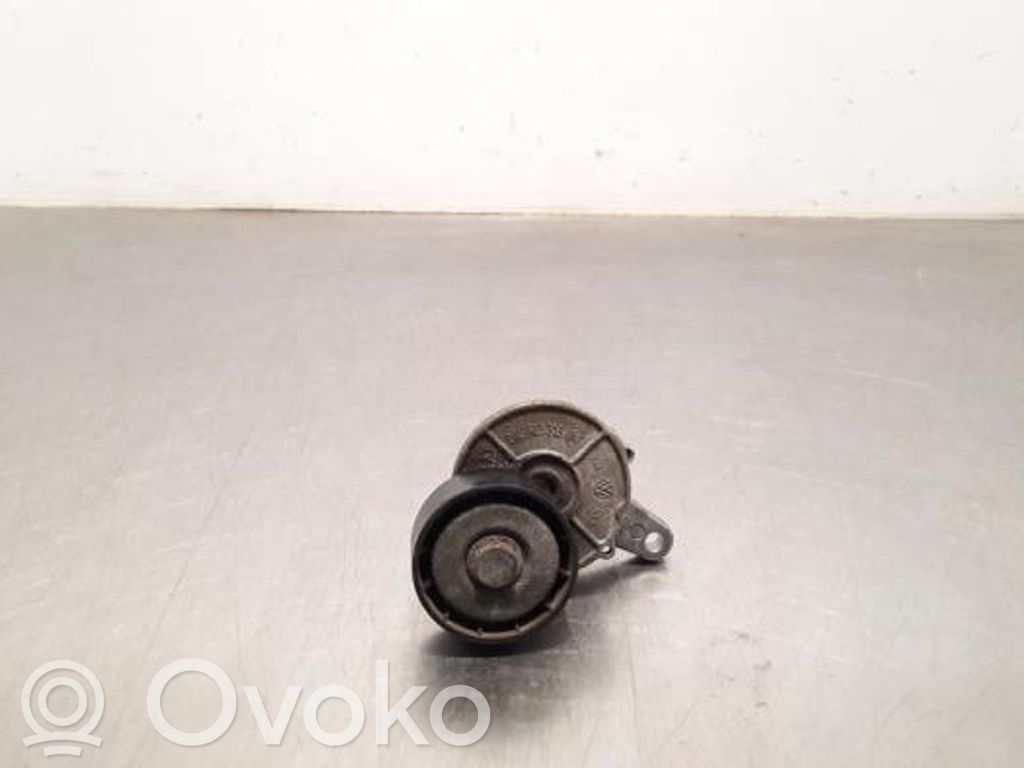 Întinzător curea alternator   304L903315F,304L903315F