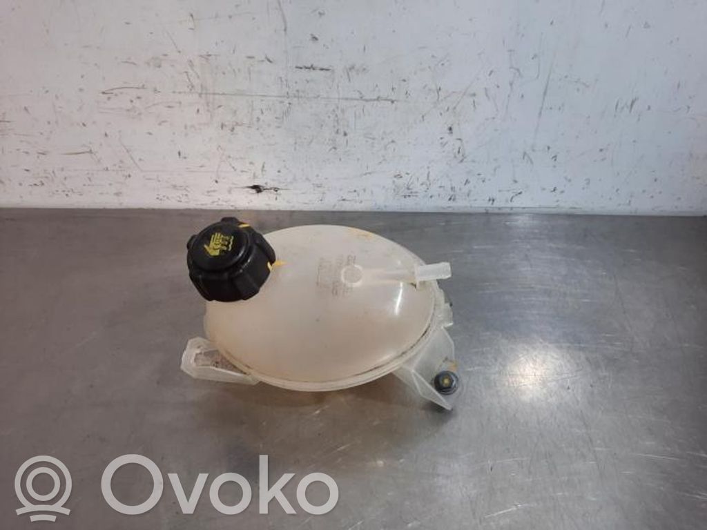 Coolant expansion tank/reservoir   217107259R,217107259R