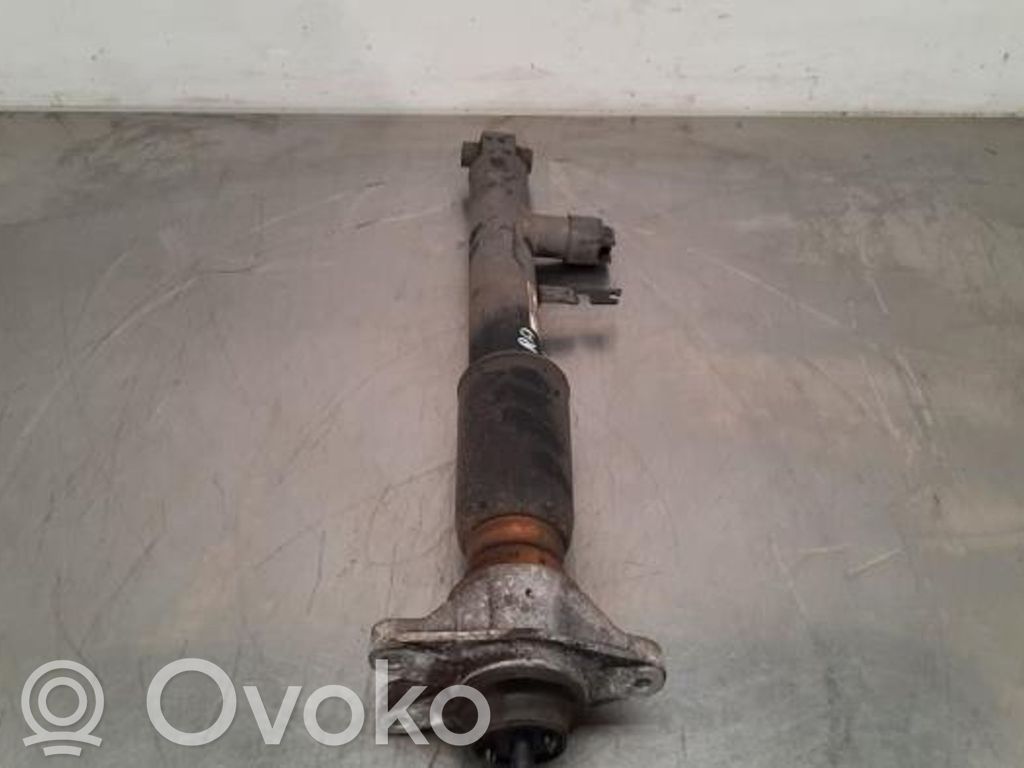 BMW 3 G20 G21 Amortizor spate 