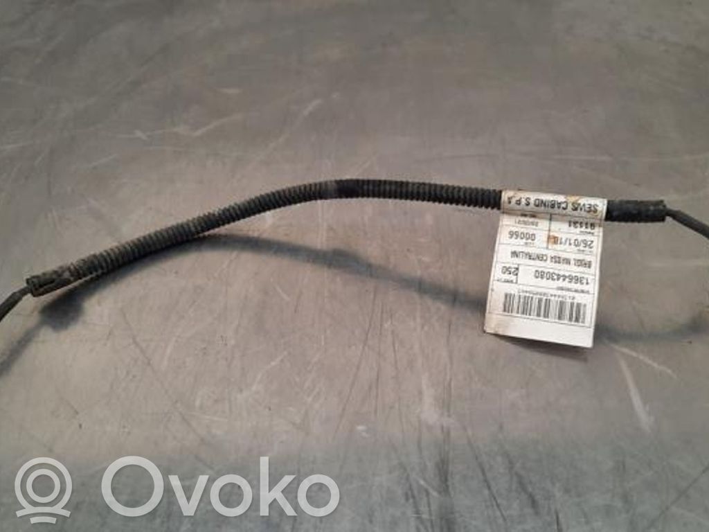 Fiat Ducato Minus / Klema / Przewód akumulatora 