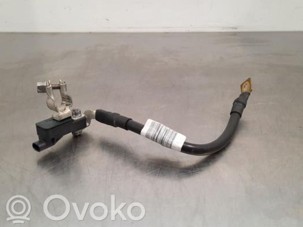 Volkswagen Polo VI Cavo negativo messa a terra (batteria)
