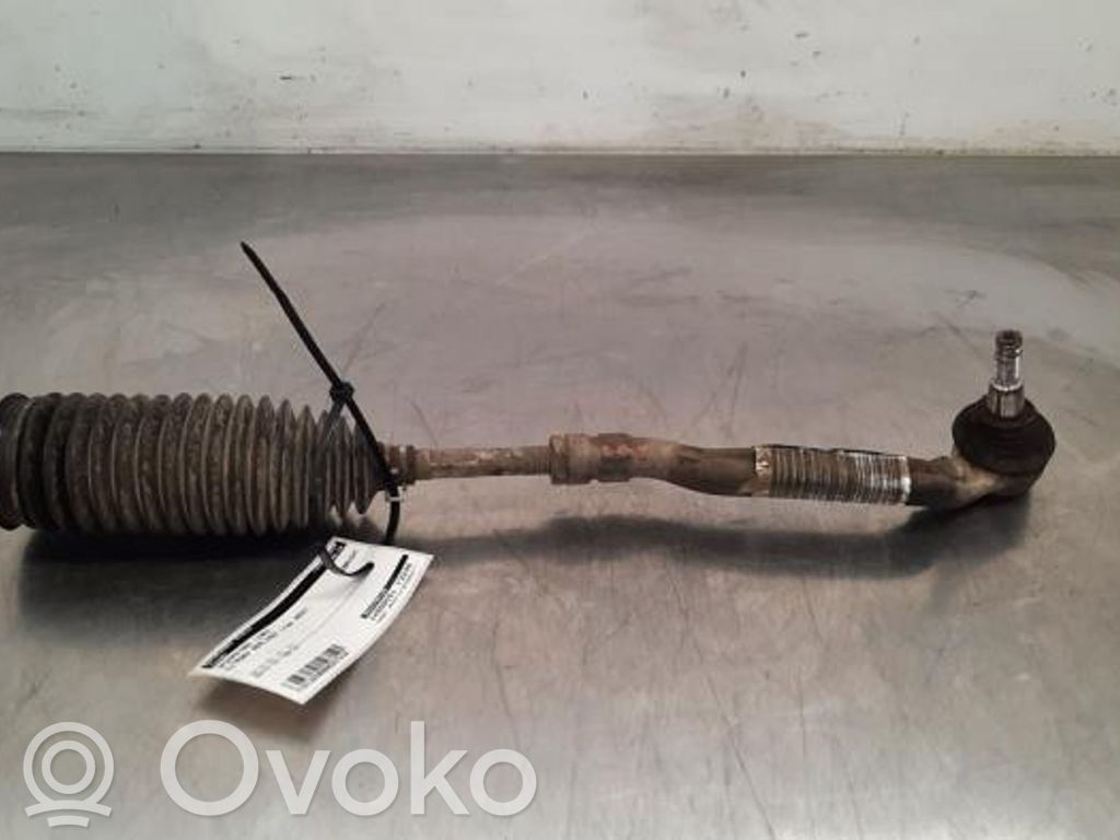 Citroen Berlingo Vairo traukės antgalis 
