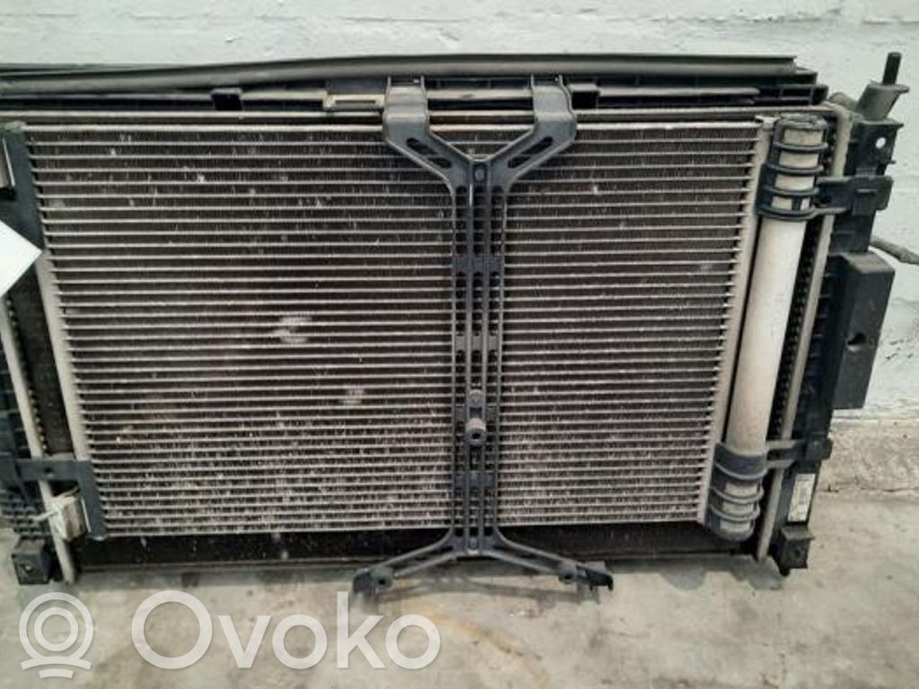 Radiatorių komplektas   9836638080,9836638080,9806313580,9817275680