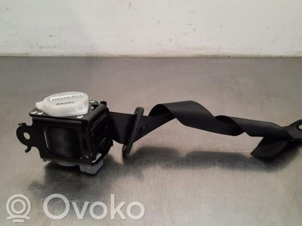 Cinturón trasero   888405148R,888405148R