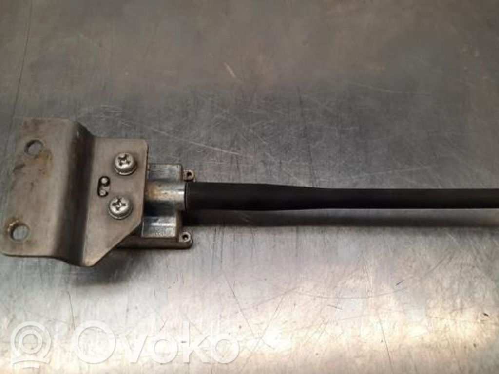 Ford Transit Custom Radio antena 
