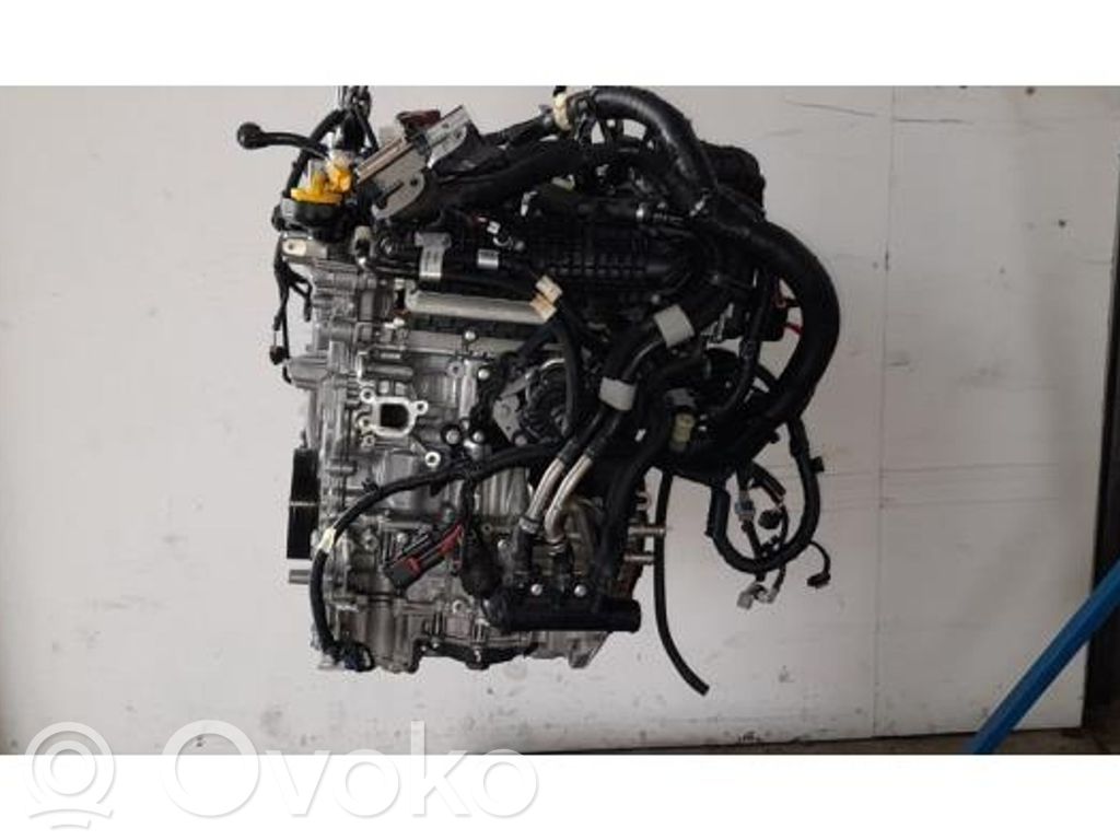 Variklis   110104950R,110104950R