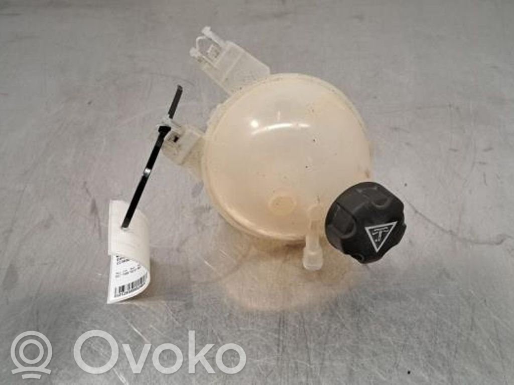 Aušinimo skysčio išsiplėtimo bakelis   9821049380,9821049380