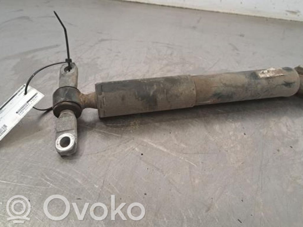 Citroen Berlingo Amortizor spate 