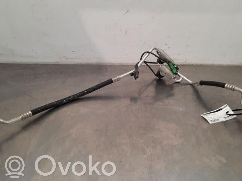 Renault Zoe Conductă/furtun aer condiționat (A/C) 