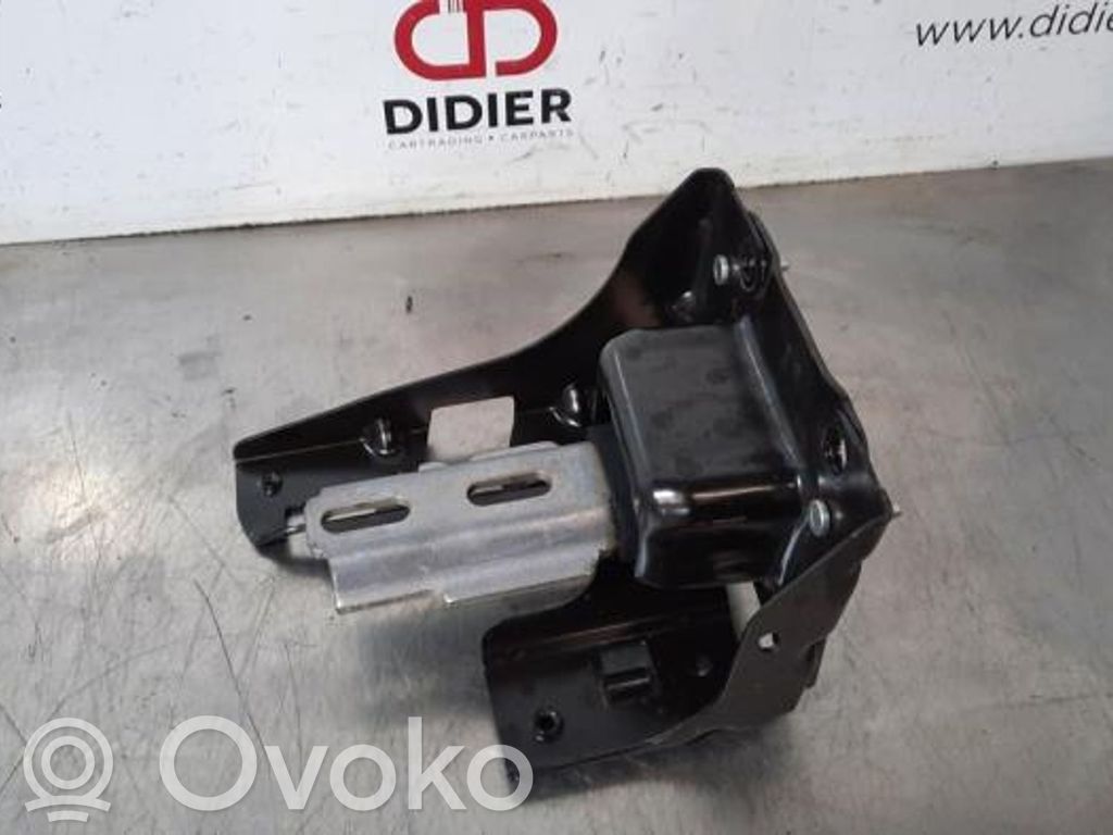 Citroen C3 Dzinēja spilvens 