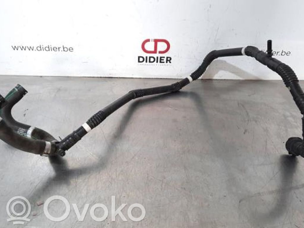 Przewód / Wąż chłodnicy   82076508