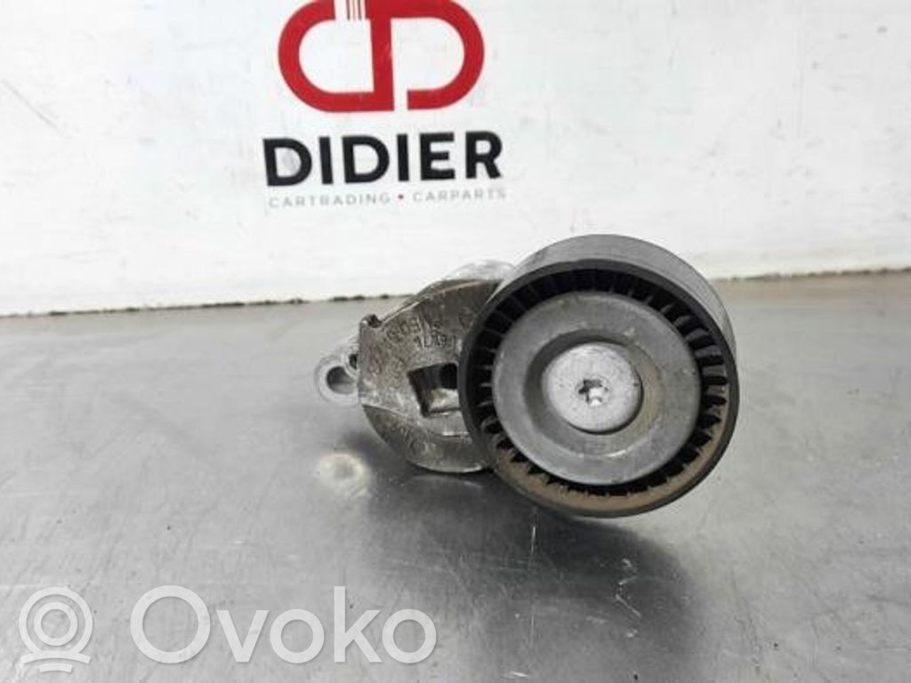 Ford Fiesta Generatoriaus diržo įtempėjas 