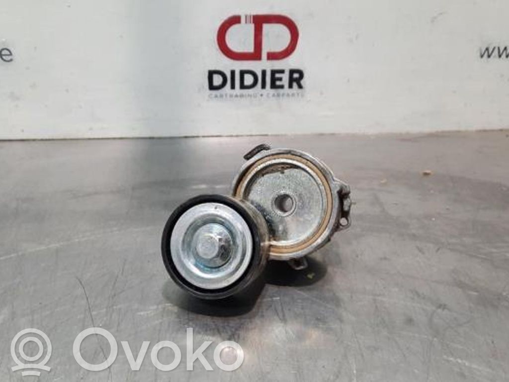 Opel Combo E Generatoriaus diržo įtempėjas 