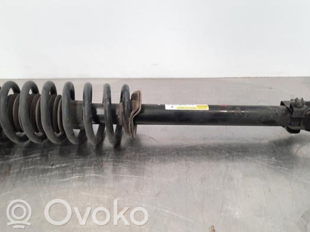 Stoßdämpfer vorne   A2133202113
