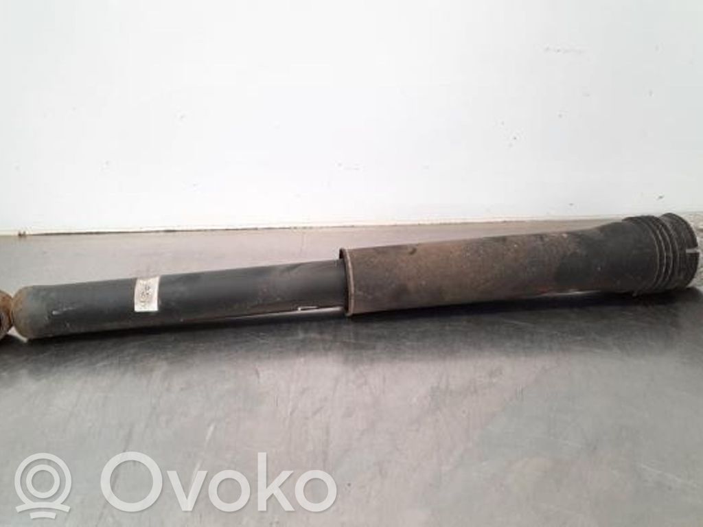 Stoßdämpfer hinten   BCKE28700E,BCKE28700E