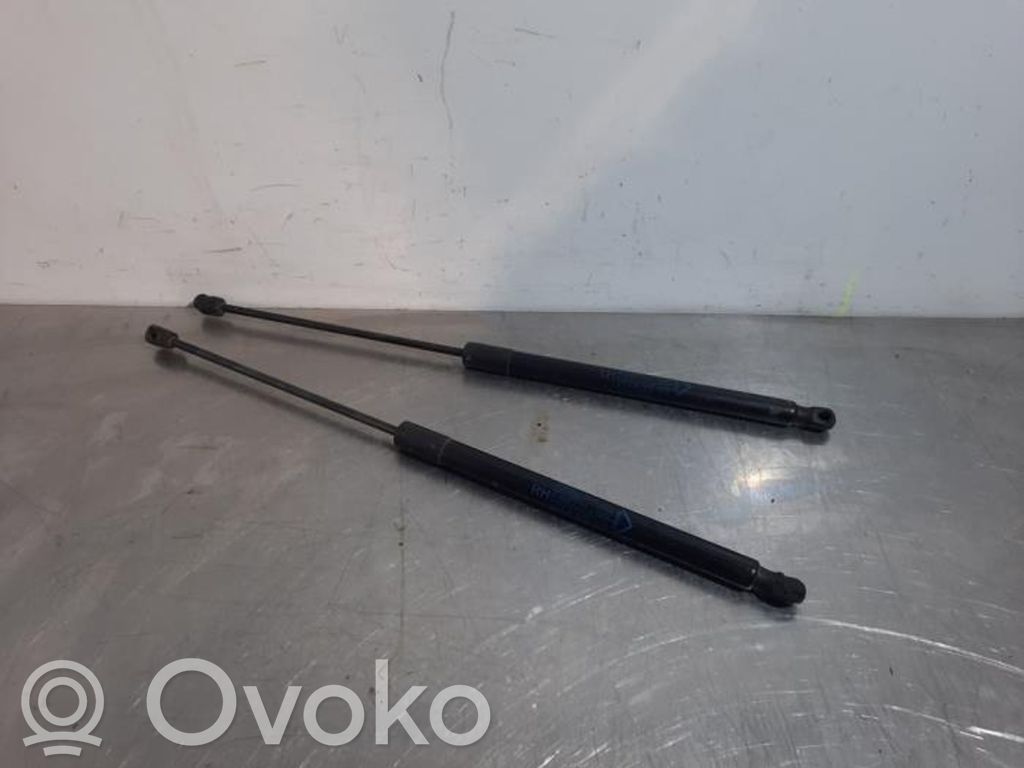 Fiat Tipo Tailgate/trunk strut/damper 