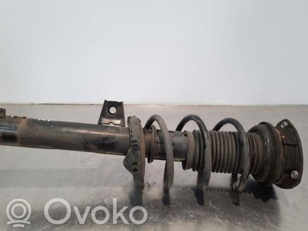 Ammortizzatore anteriore   5Q3413031H