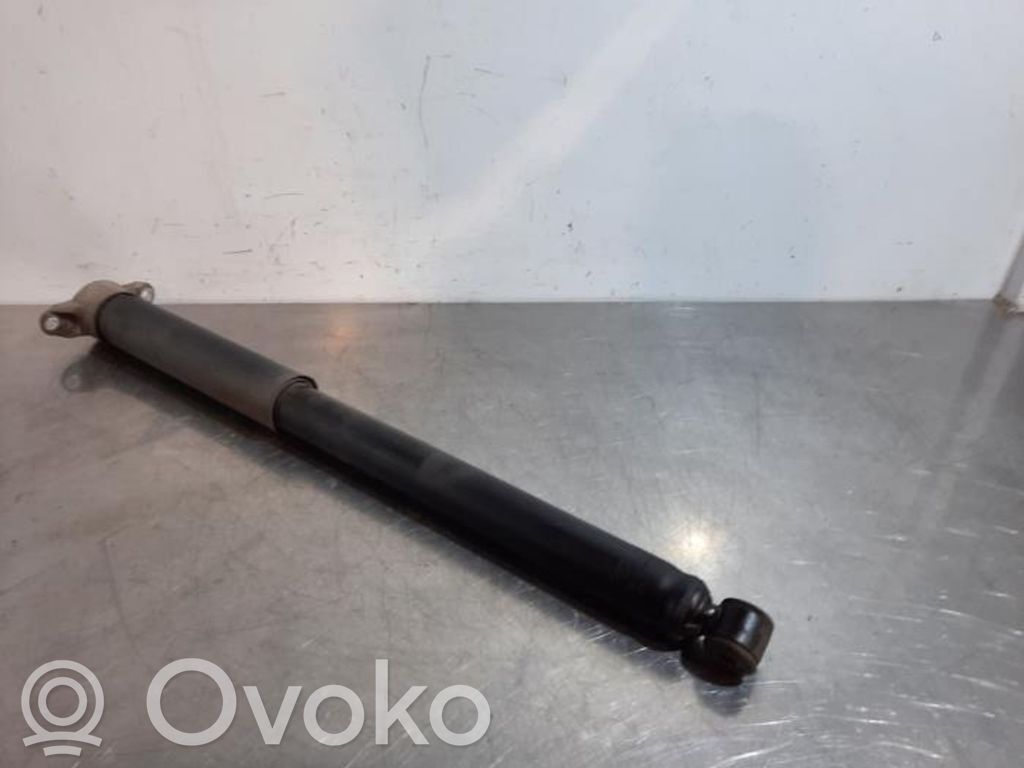 Stoßdämpfer hinten   3145401