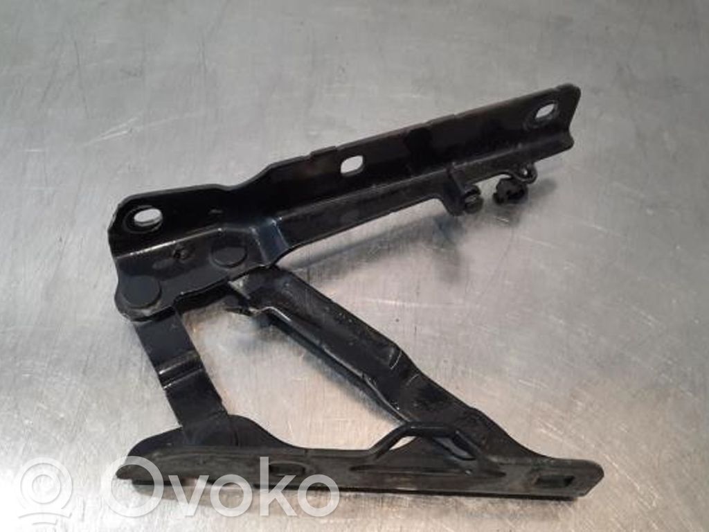 Engine bonnet/hood hinges   102928499D