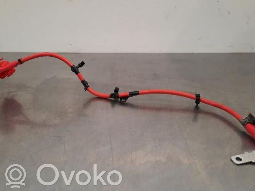 Jaguar F-Pace Cavo negativo messa a terra (batteria)