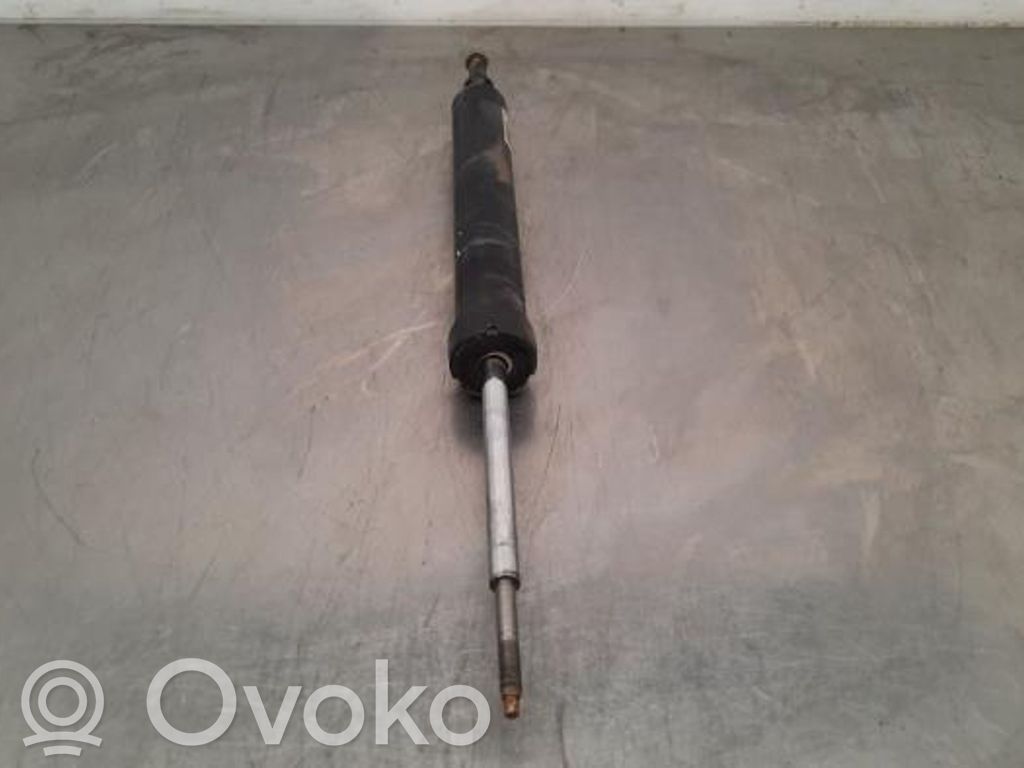 BMW 1 E81 E87 Rear shock absorber/damper 