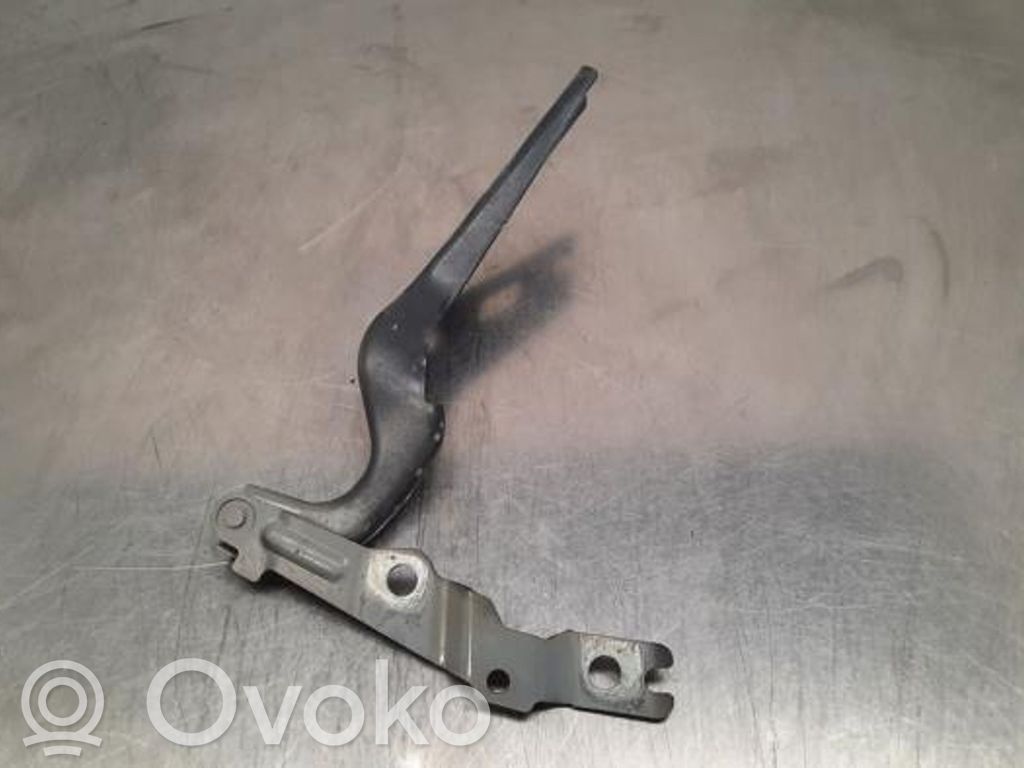 Volkswagen Polo VI Cerniere del vano motore/cofano 