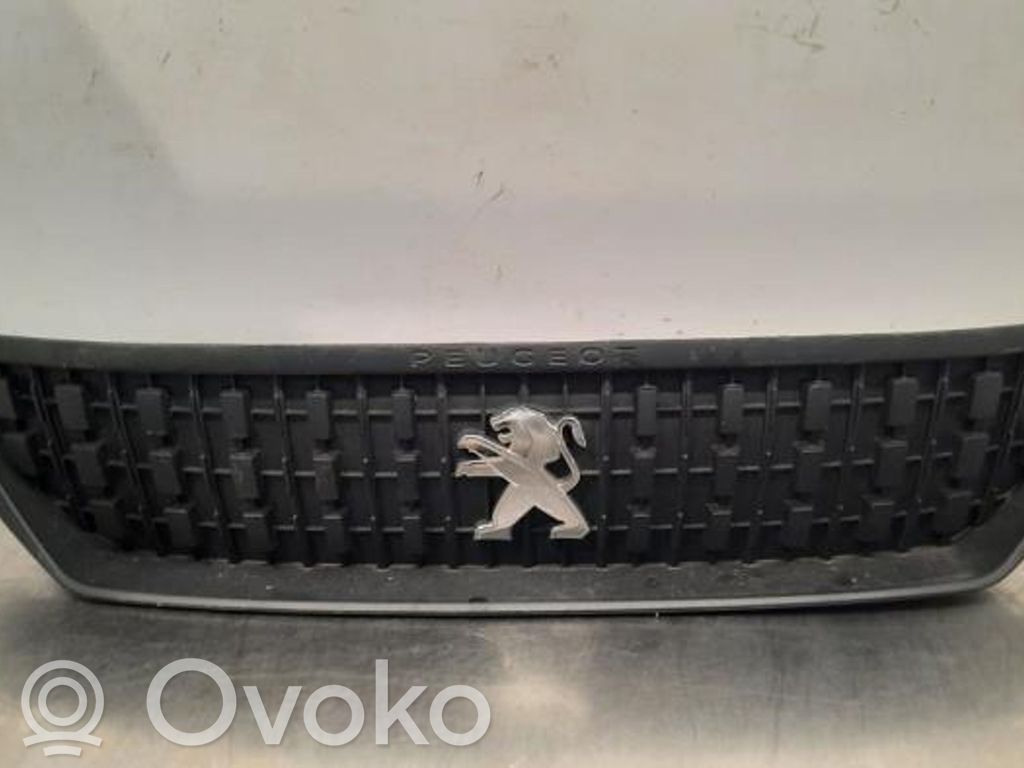 Peugeot Expert Grotelės viršutinės 