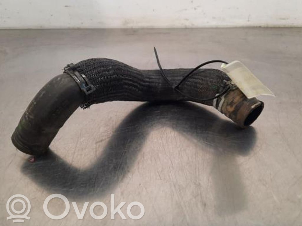 Engine coolant pipe/hose