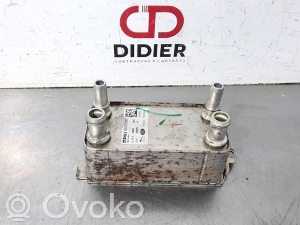 Land Rover Range Rover Sport L494 Supporto di montaggio del filtro dell’olio 
