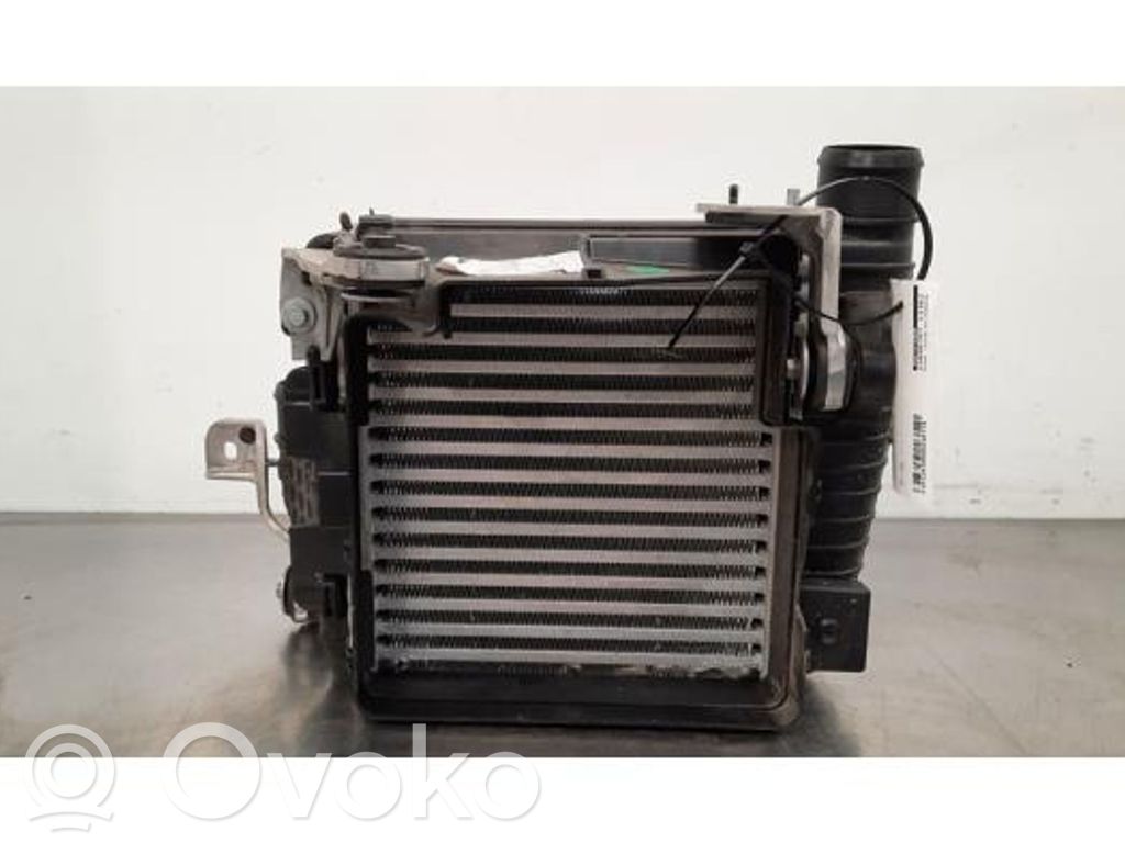 Chłodnica powietrza doładowującego / Intercooler   9867473980,9840963880,9840963880