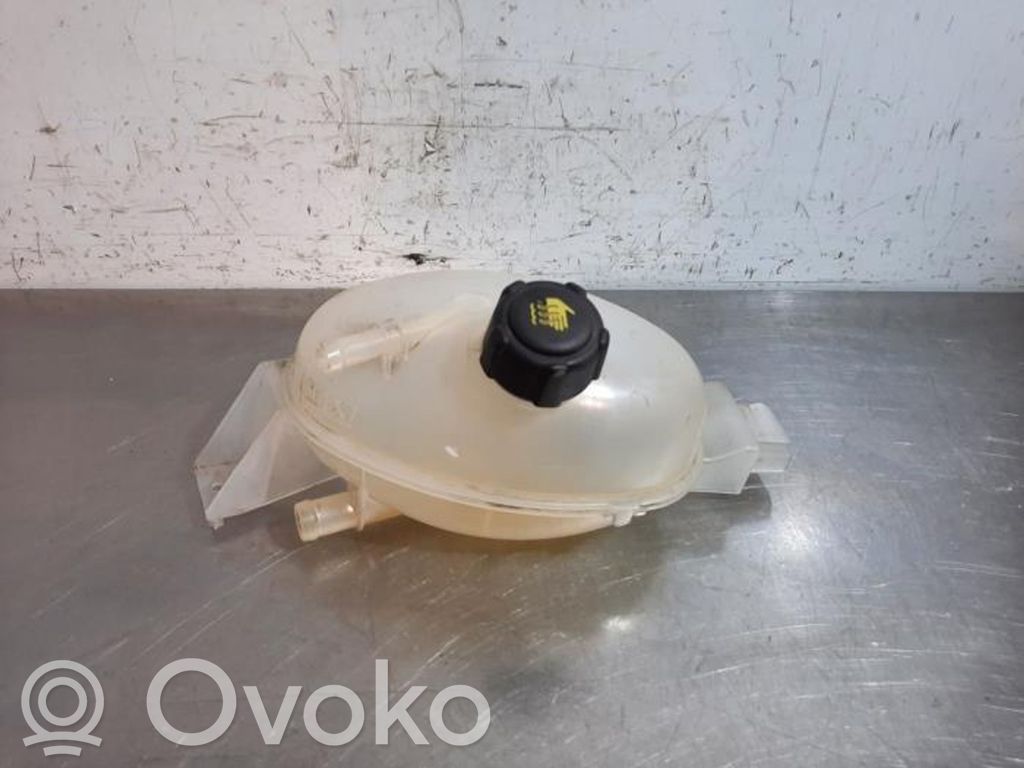 Renault Master III Vas expansiune/rezervor lichid de răcire 