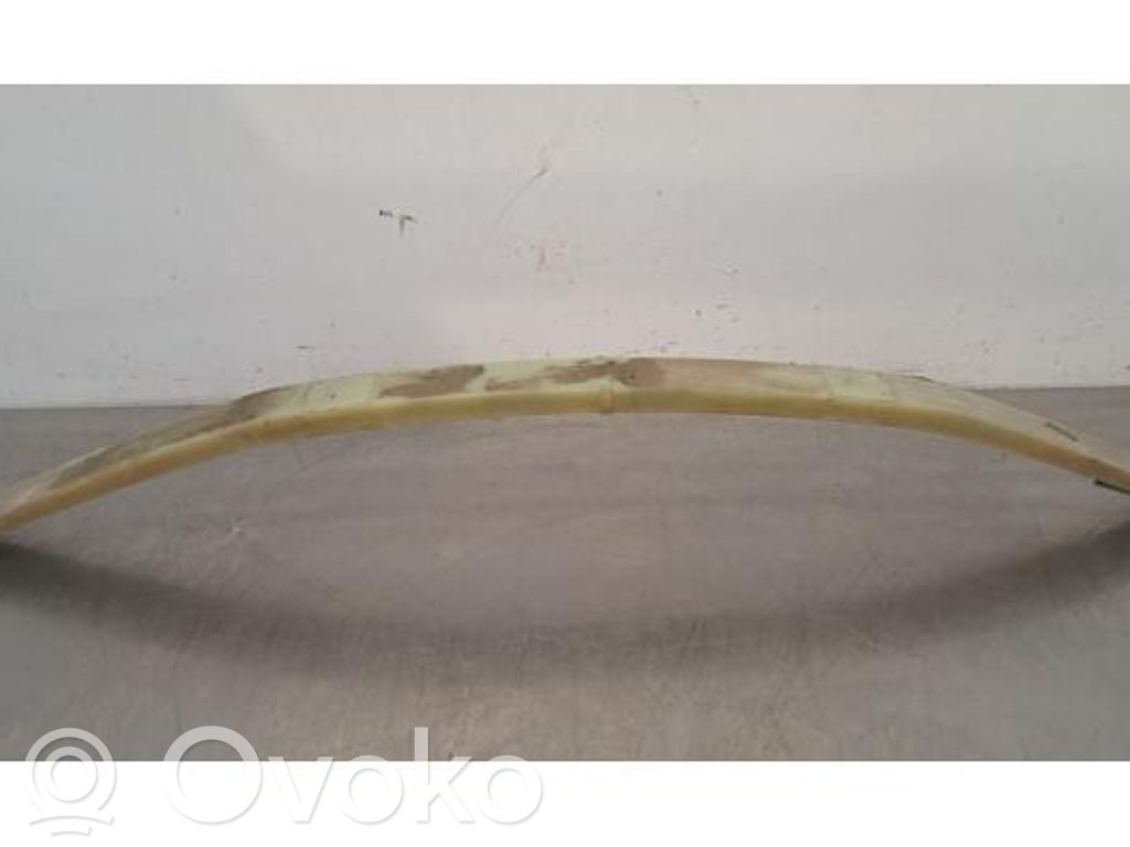 Foaie arc spate   32283978,32283978