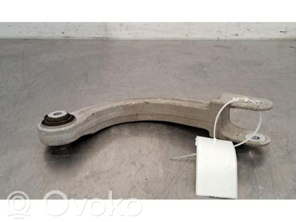 Brazo de suspensión trasero   1EA505351,1EA505351