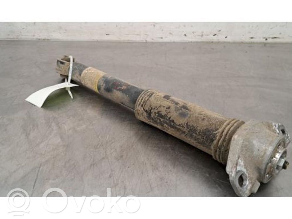 Amortizor spate   48530F4020,48530F4020,48530F9020