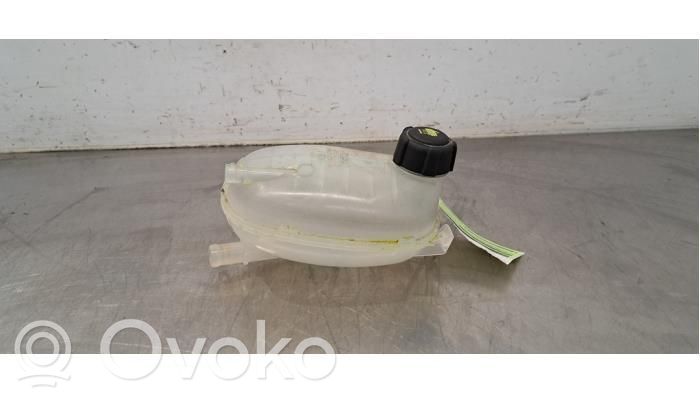 Renault Arkana Serbatoio di compensazione del liquido refrigerante/vaschetta