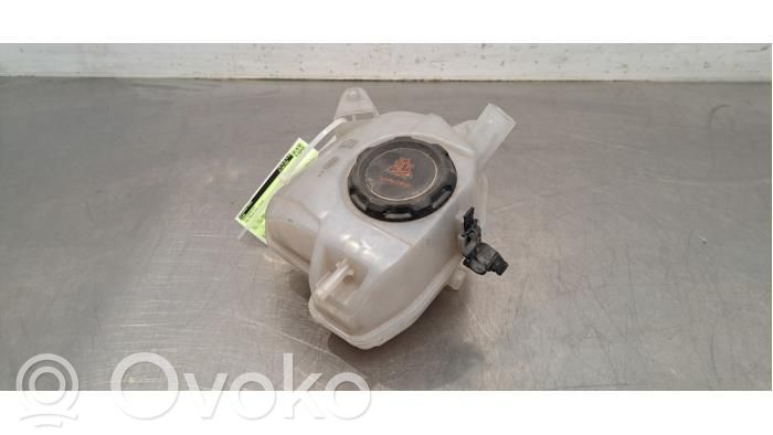 Volkswagen Polo VI Vas expansiune/rezervor lichid de răcire