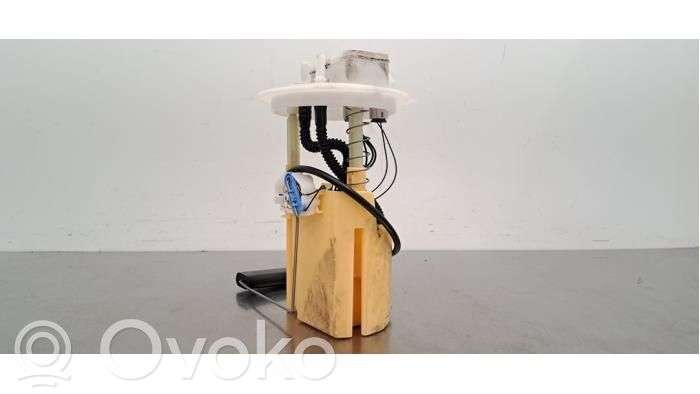 Bomba interna de combustible   250602453R,250602453R