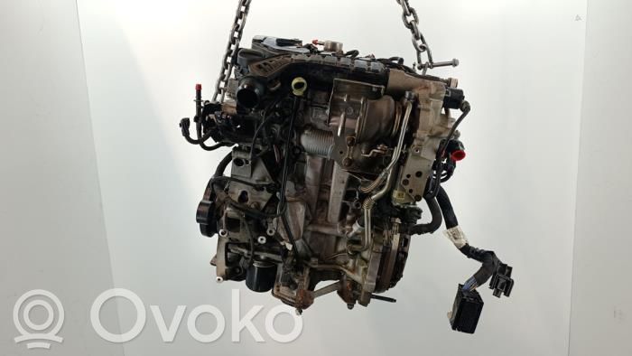 Motor