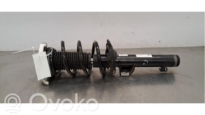 Stoßdämpfer vorne   1EA412037BR,1EA412037BR