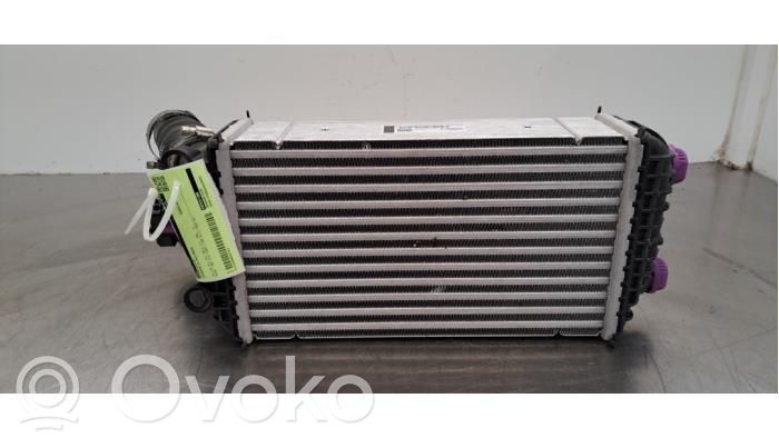 Radiador intercooler   9825341380